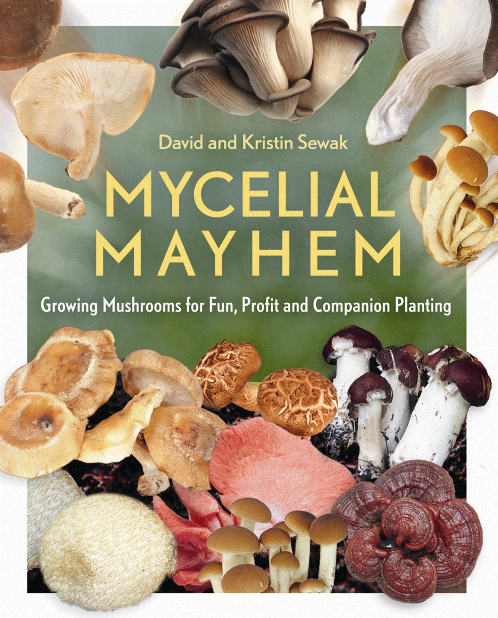 Cover image for Mycelial Mayhem ISBN 9780865718142